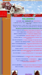 Mobile Screenshot of mineralienneu.com